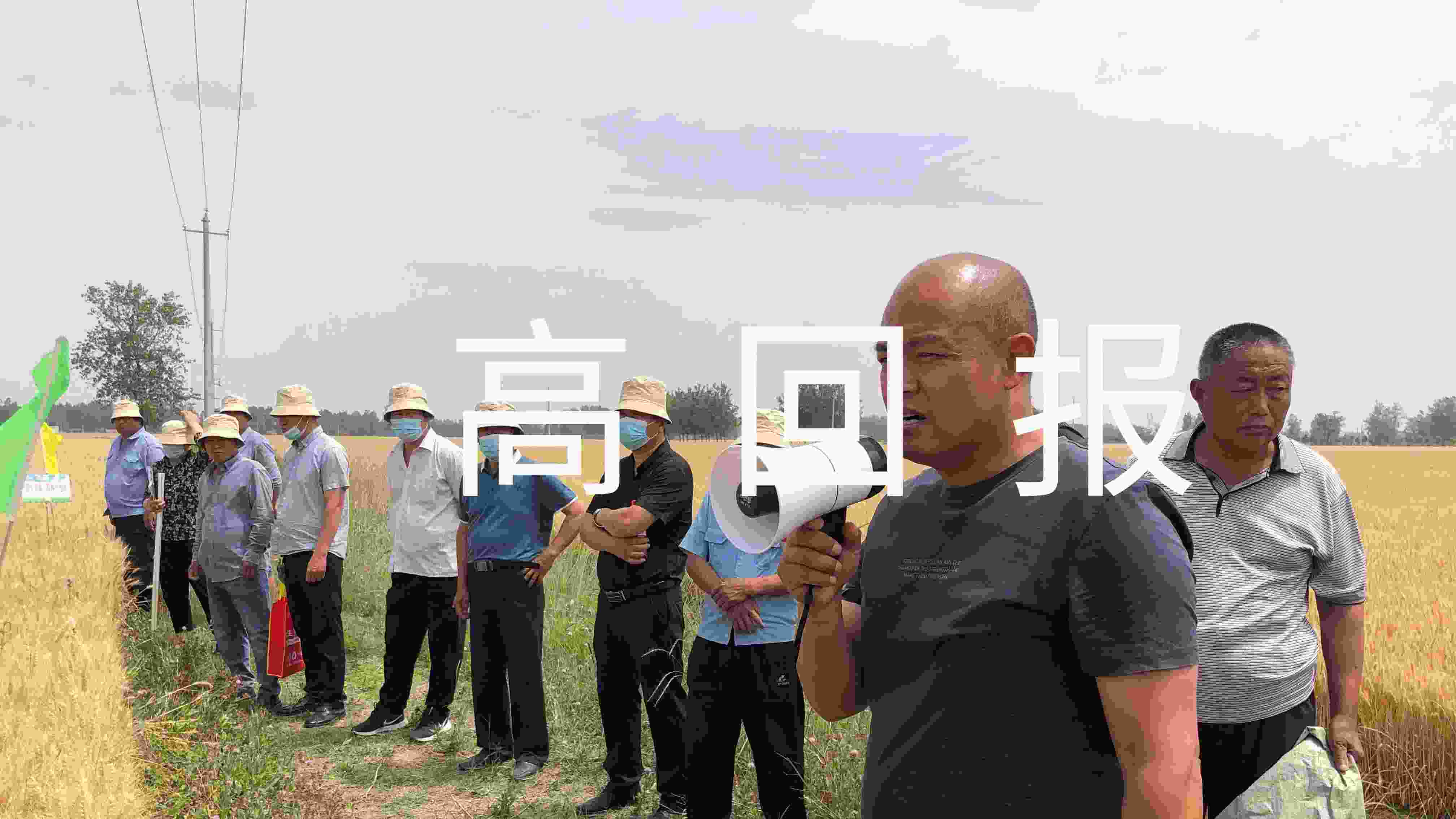 Ĵrֵ߻؈