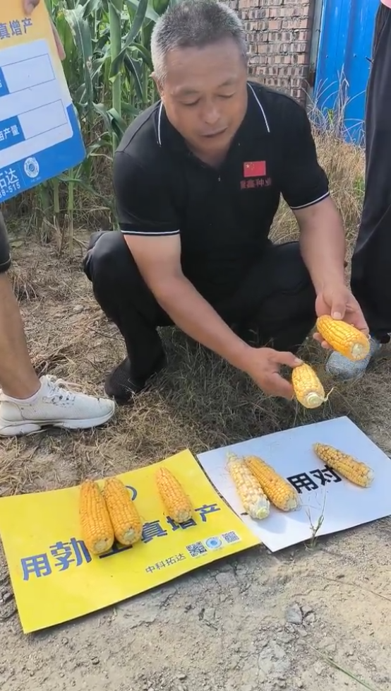 微信圖片_20240903103353.png