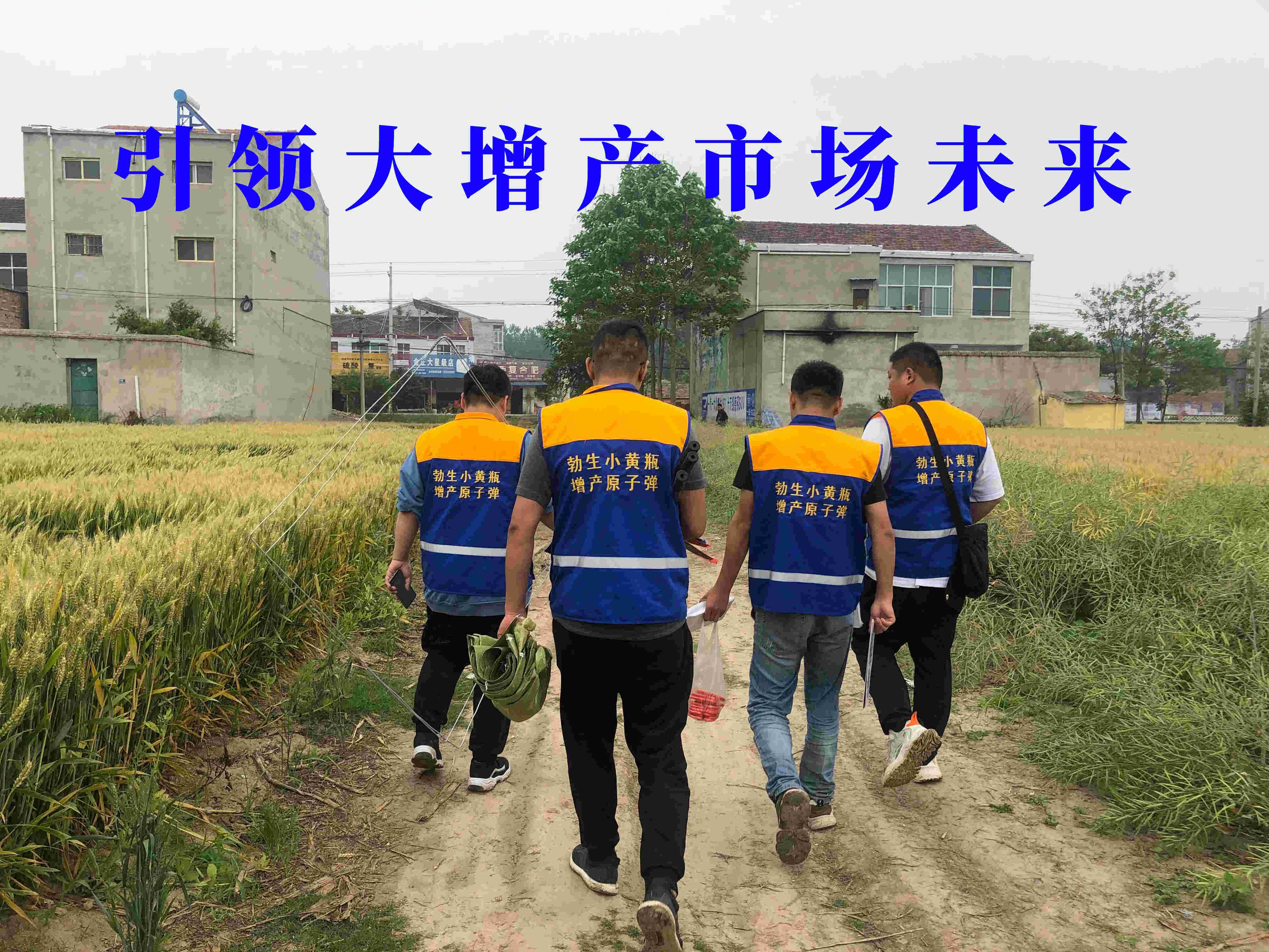 通欄圖片